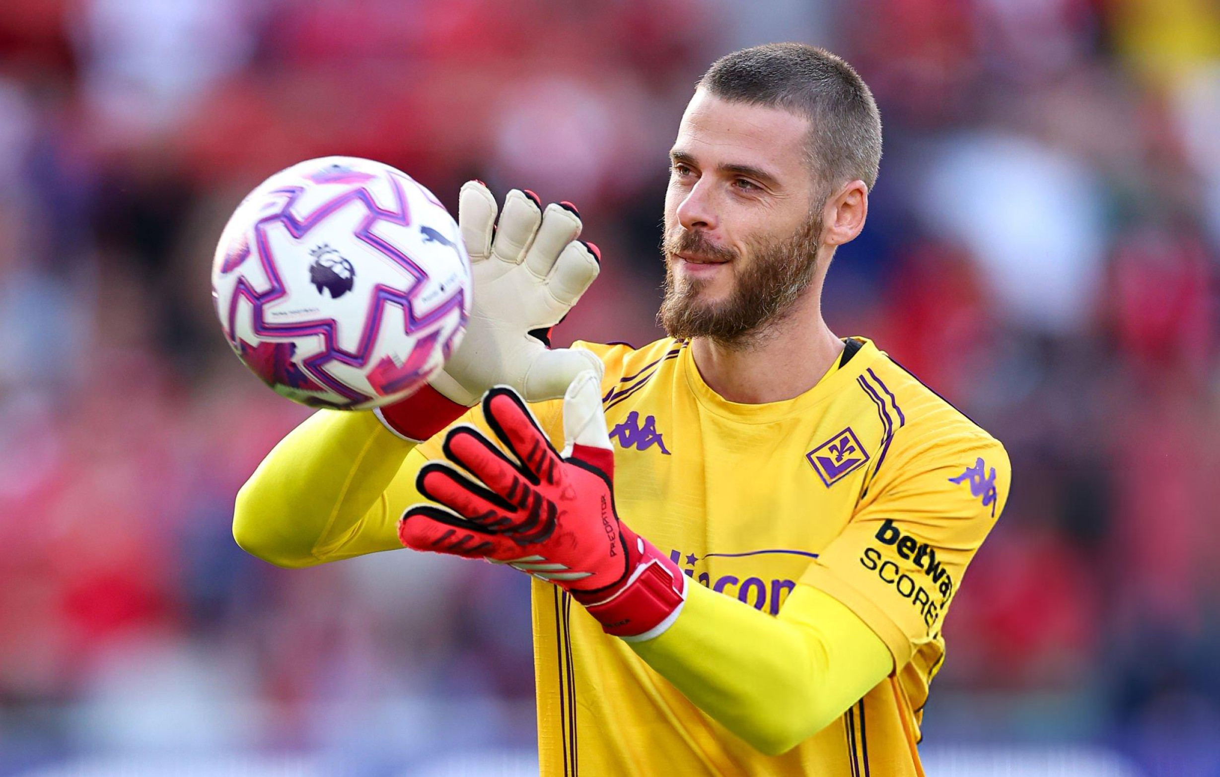 David de Gea Chưa tàn những giấc mơ 1