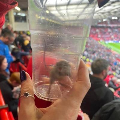 Điểm tin bóng đá tối 610 Jack Grealish bị loại khỏi ĐT Anh 2